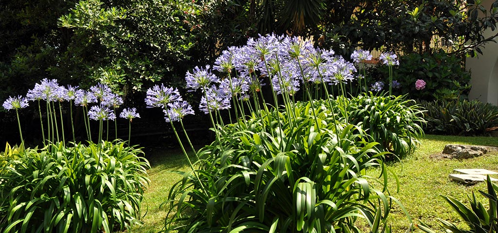 Hotel Villa Adriana - Garten - Monterosso al Mare - Cinque Terre - Ligurien - Italien